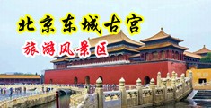 大鸡巴逼揉奶子扣屁眼贱逼视频中国北京-东城古宫旅游风景区